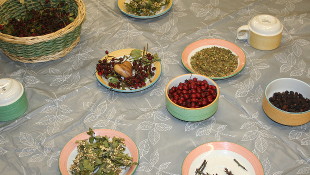 Bowls of multi-coloured herbs and plants displayed on a table
