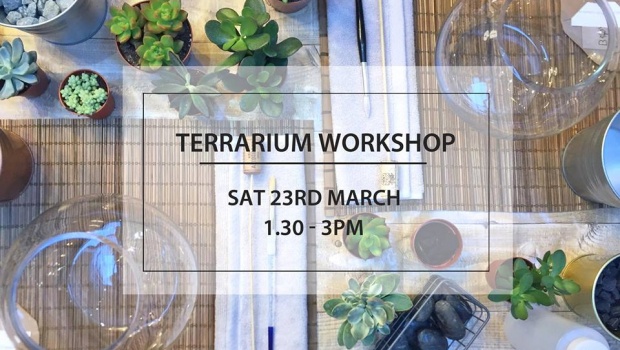 Terranium Workshop (plants on a table)